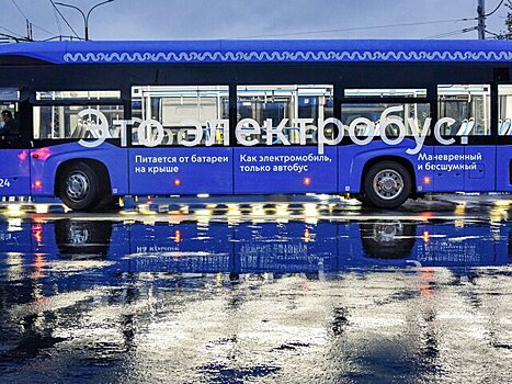 РЖД прорабатывает три маршрута железной дороги к новому погранпереходу с Китаем на Алтае