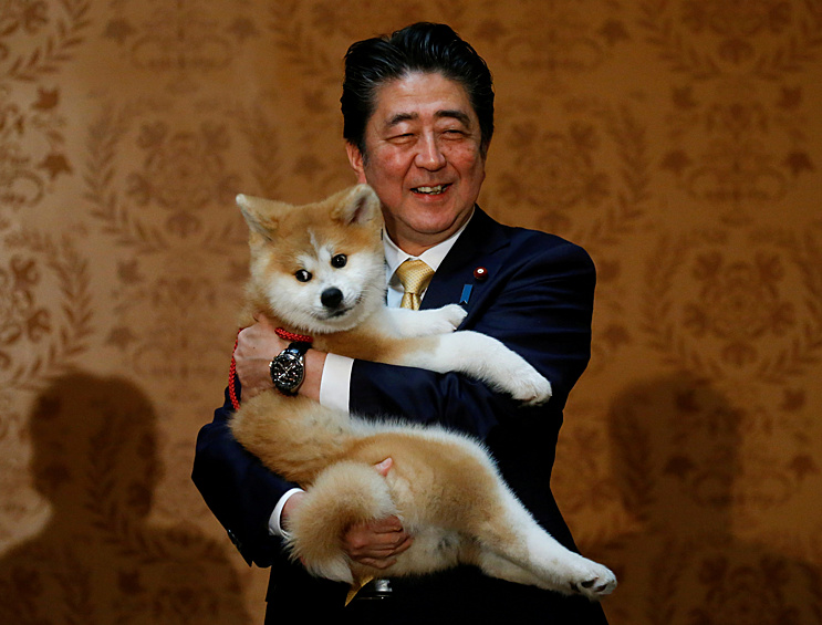 Бывший премьер-министр Японии Синдзо Абэ позирует со щенком акита-ину, подаренным российской чемпионке по фигурному катанию Алине Загитовой, 2018 год