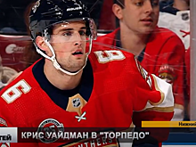 Американец Крис Уайдман пополнит ряды нижегородского «Торпедо»
