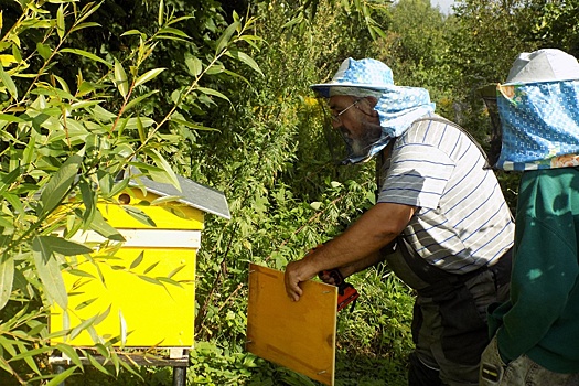 Тульские пчеловоды рассчитывают на хорошую погоду и поддержку властей