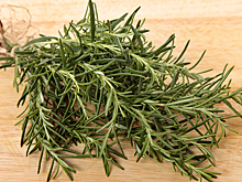 Учёные проверили лайфхак из TikTok и вот что обнаружили