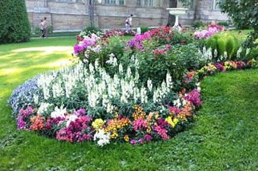 Нижегородские депутаты предложили увеличить расходы на озеленение