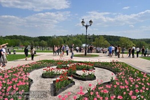 В «Царицыне» пройдет концерт классической музыки