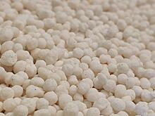 Фермеры Шри-Ланки мечтают о производстве суперфосфата