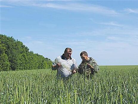Два растениеводческих хозяйства Красноармейского района работают вместе