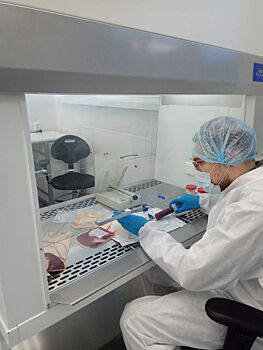 Двум онкобольным пациенткам в Челябинске провели аутотрансплантацию стволовых клеток