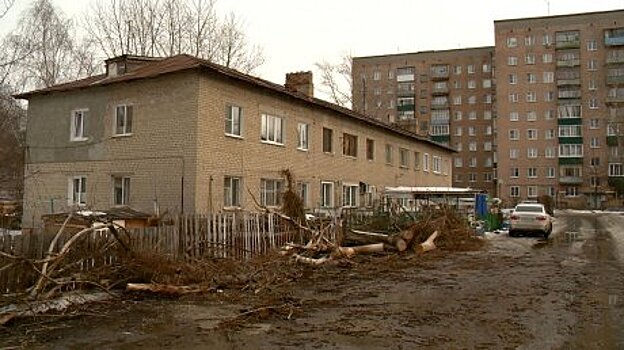 В 2-м проезде Лобачевского обрубки деревьев заняли место для стоянки