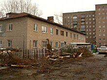 В 2-м проезде Лобачевского обрубки деревьев заняли место для стоянки