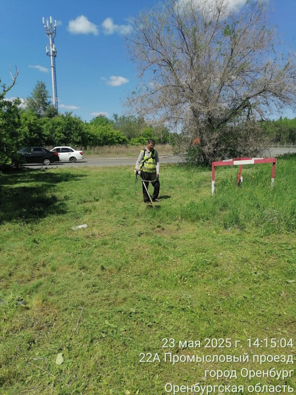 В Оренбурге продолжается покос сорной травы