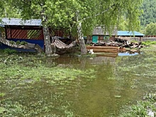 Сильные дожди затопили несколько десятков домов в Горном Алтае