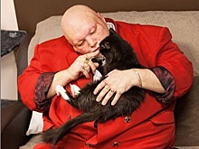 Барецкий напоил кота до смерти