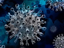 В Приморье прекратился рост числа зараженных коронавирусом