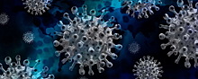 В Приморье прекратился рост числа зараженных коронавирусом