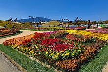Как прошла международная выставка садов в корейском городе Сунчхон