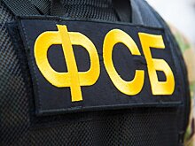 ФСБ задержала на Кубани женщину по подозрению в госизмене
