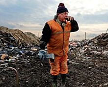 Тарифы на вывоз мусора в Ленобласти откорректированы и снижены