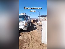 «Мучения закончились»: в благовещенском приюте для животных появилась своя скважина