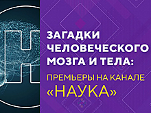 Секреты мозга и загадки тела: премьеры научно-популярных фильмов на телеканале «Наука»