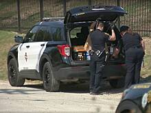 Мужчина сравнил найденный человеческий череп с дыней