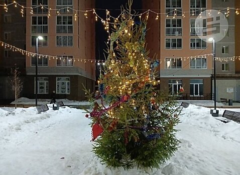 Жителям Удмуртии предлагают определить самую сказочную ёлку республики