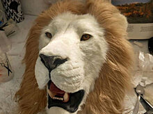 Зоозащитники ополчились на бренд Schiaparelli