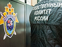 Двоих волжан обвиняют в преступлениях террористической направленности