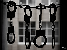 Курганская полиция отчиталась о ликвидации четырех ОПГ