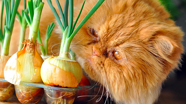 Народные приметы на 31 октября 2023 года: что нельзя и что нужно делать