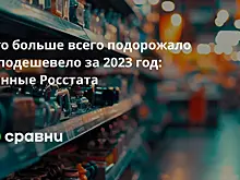 Что больше всего подорожало и подешевело за 2023 год: данные Росстата