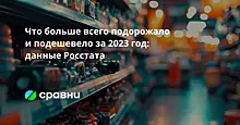 Что больше всего подорожало и подешевело за 2023 год: данные Росстата