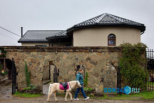 Сомнение, чудо, наука: путь ростовской иппотерапии от знахарства к доказательной медицине