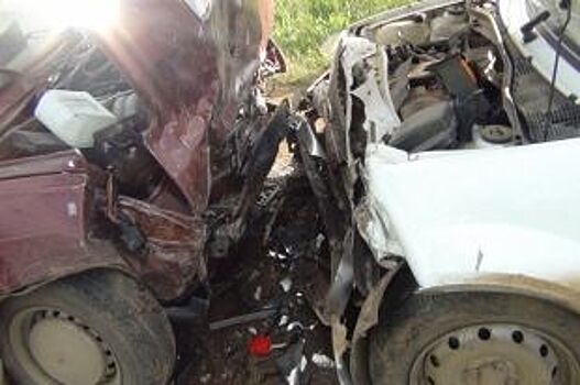 На трассе в Прикамье в лобовом столкновении погиб водитель ВАЗа