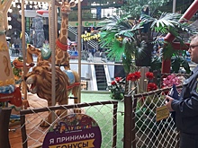 В Курской области продолжают проверять аттракционы