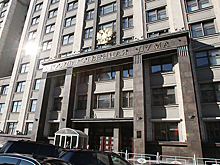 Госдума пригласила главу Росстата принять участие в работе Совета палаты 11 сентября