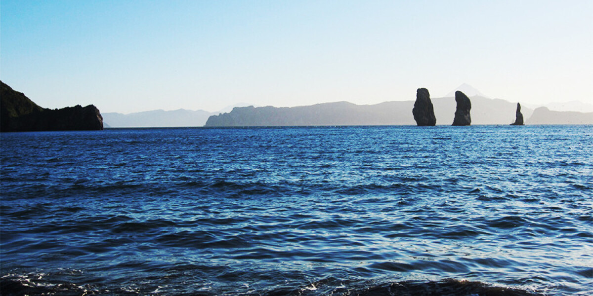 найдите море тв