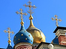 В РПЦ предупредили о сатанистах в медицине и образовании