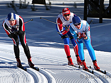 Анастасия Фалеева и Александр Терентьев стали чемпионами в лыжном спринте