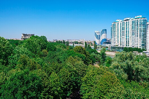 Более 120 гектаров лесов восстановят на Кубани к 2030 году