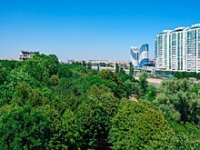 Более 120 гектаров лесов восстановят на Кубани к 2030 году