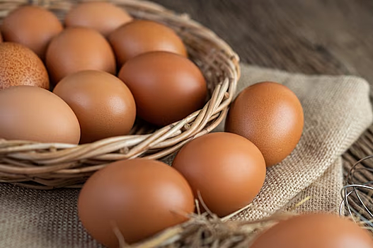 Новосибирские производители яиц заключили соглашение