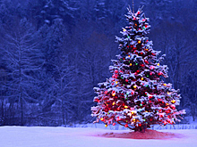 Туроператоры рассказали о спросе на отели Подмосковья на новогодние даты