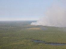 Семь муниципалитетов обзаведутся системой «Лесной дозор»