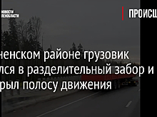 В Тосненском районе грузовик врезался в разделительный забор и перекрыл полосу движения