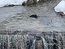 В Рязанском районе 10-метровая плотина под риском прорыва