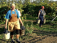 Чего не хватает женщинам на селе