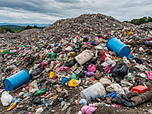 «У нас вся живность подохла»: жители Дмитровского округа 12 лет дышали ядом, а свалка продолжает убивать даже после закрытия