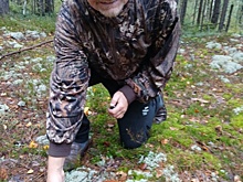 Нижегородцы не узнали экс-мэра Булавинова на фото с грибом