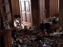 Мать девочки-маугли решили арестовать