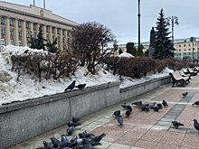 Денисов, Семенов и Савин покинули посты зампредов правительства