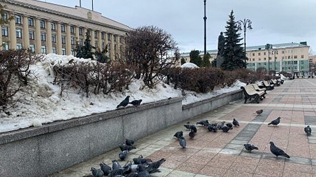 Денисов, Семенов и Савин покинули посты зампредов правительства